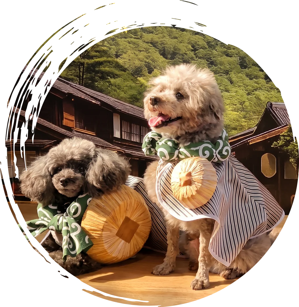 時代衣装を着た犬