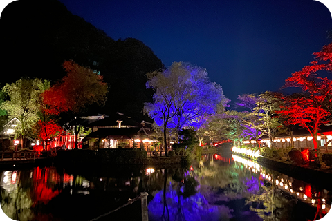 夜の江戸村散策