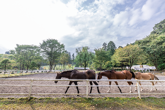 画像：日光馬事センター