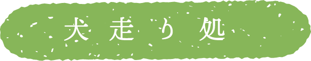 タイトル：犬走り処