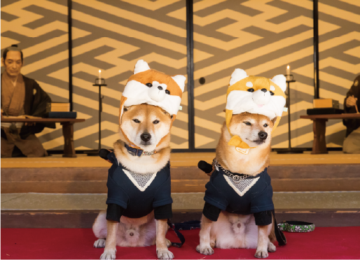 イベント風景画像3